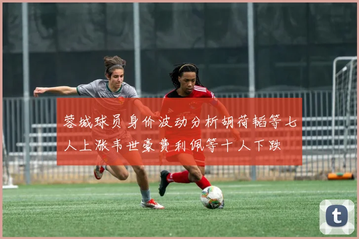 蓉城球员身价波动分析胡荷韬等七人上涨韦世豪费利佩等十人下跌